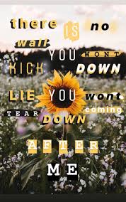 Bible versed spring flowers wallpapers. Reckless Love Of God Lyrics Wallpaper I Love This Song Very Cute And Encouraging So Inspiri Iphone Wallpaper Quotes Bible Bible Inspiration Wallpaper Quotes