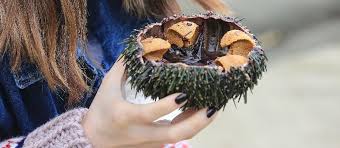 The smc replaced in the late 1990s a seriously flawed system that had resulted thousands of supposedly skilled migrants coming into nz, who were. New Zealand S Must Eat Seafood 100 Pure Nz