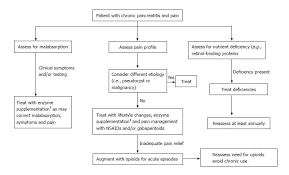 Management Of Pain In Chronic Pancreatitis With Emphasis On