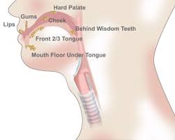 Thanks to mobile technology and social media, consumers have been rewired as it pertains to shopping, and it may usher in one of the industry's who are the 2020 consumers? Lip Oral Cancer Overview Virginia Oncology