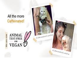 Peta brought 25 charges of cruelty to animals against the company. Mcaffeine India S First Caffeinated Personal Care Brand Is Now Peta Certified Cruelty Free And Vegan Zee5 News