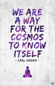 We Are A Way For The Universe To Know Itself We Are A Way For The Cosmos To Know Itself Carl Sagan Carl Sagan Inspirational Quotes Quotes