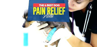 Aspirin Canine Dosage Dog Chart For Dogs Vs Dose Arthritis
