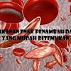Berikut 11 makanan yang dapat dikonsumsi ibu hamil untuk menambah darah. Https Encrypted Tbn0 Gstatic Com Images Q Tbn And9gcsvonktnter Nffxbudskw4palx5esbv9ektlxpxnjysfyof3em Usqp Cau