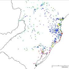 Image result for Psychotria bugoyensis