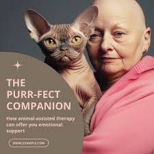 Henry Pointer's Instagram, Twitter & Facebook