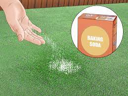 However if stubborn there is no need for special tools to clean artificial grass; 3 Ways To Clean Dog Urine Out Of Artificial Grass Wikihow