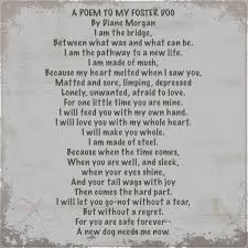 A Poem To My Foster Dog Rescue Dog Quotes Foster Dog Mom Animal Rescue Quotes
