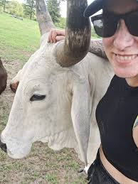 Chesapeake Sea Trout