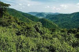 Popular khao yai national park categories. Khao Yai Attractions Travel Tips Trazy Blog