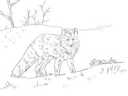 Fox are mainly referred to as cunning creatures; Red Fox In Snow Coloring Page Supercoloring Com Fox Coloring Fox Coloring Page Fox In Snow