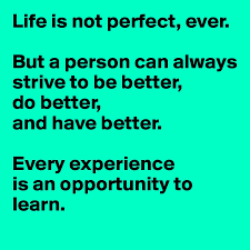 Life Is Not Perfect Ever But A Person Can Always Strive To Be Better Do Better And Have Better Every Experience Is An Opportunity To Learn Post By Catrina On Boldomatic