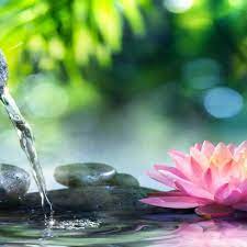 Relaxation and calming studying healing massage spa sound therapy chakra balancing. Stream Relaxing Piano Music Relaxing Music Sleep Music Meditation Music Spa Music 109 By Soothing Relaxation Listen Online For Free On Soundcloud