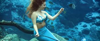 @mermaidgossip omg thanks for th follow, you're my inspiration. Mermaid Shows Florida State Parks