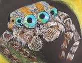 Sarah Lovick - Pastel Spider Study