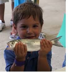 Speedy Stop Kids Fishing Day Winners : Dolphin Talk