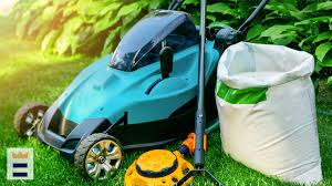 What You Need For Fall Lawn Care Wfla