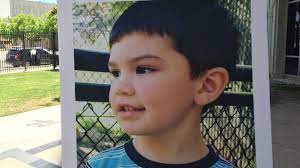 Aiden leos, de 6 años, murió de un balazo luego de que su madre tuvo una confrontación con otro conductor en una carretera de california. Aiden Leos To Be Memorialized At Orange County Zoo