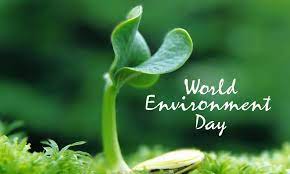 World environment day 2020 quotes, images, slogans, messages: World Environment Day Wallpapers Wallpaper Cave