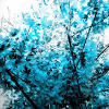 There are 4200 tree blue background for sale on etsy, and they cost. 3