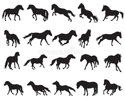 Pony Color Chart Stock Illustrations 35 Pony Color Chart