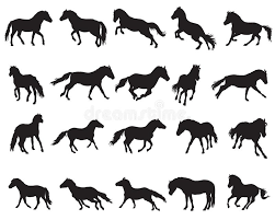 pony color chart stock illustrations 35 pony color chart