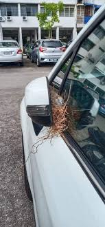 Dulu tak ramai orang pakai kereta. Sky Cheah Skycheahyt Twitter