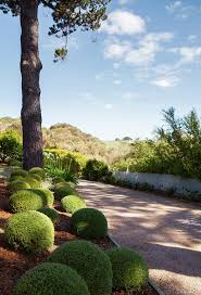 Mediterranean Style Garden In The Mornington Peninsula Sydney Gardens Mediterranean Style Bulbs Garden Design