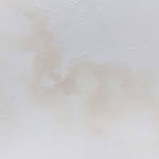 Kaufe einen test für bleifarbe im baumarkt. Wasserfleck An Decke Uberstreichen Schimmel Entfernen Handwerker