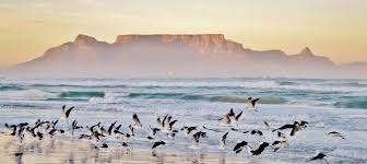 Последние твиты от visit south africa (@southafrica). South Africa Travel Guide Tips And Inspiration Wanderlust