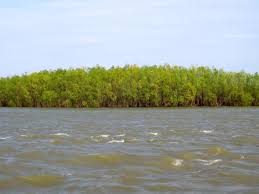 Great BrÄƒila Island Wikipedia