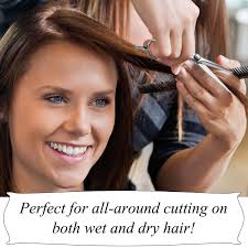 बाल काटना कैंची पेशेवर सैलून नाई कतरनी पुरुषों के लिए बाल कटवाने कैंची  ट्रिमिंग, महिला, वयस्क जापानी स्टेनलेस स्टील सिल्वर (A-6 "-कतरनी) : Amazon  ...