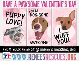 Finding pets for you… recommended pets. Category Updates Renee S Rescues