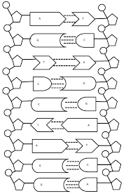 Dna structure suggested a mechanism for dna replication dna replication is carried out by a complex system of enzymes dna replication is continuous on the leading strand and discontinuous on the lagging strand Dna Structure And Replication Pogil Learn Lif Co Id