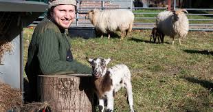 Op funda vind je 22 huizen te koop in leersum, leersum. Vloggende Schaapherder Daniel 39 Maakt Lammetjes Tv En Dat Is Een Regelrechte Hit Utrecht Ad Nl