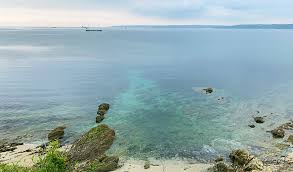 Well, what do you know? The Big Cornish Quiz Cornwall Facts And Trivia Scoop Of Cornwall