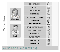 Clinical Charting Software Medical Charts Electronic