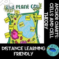 We did not find results for: Plant Cell Notes Worksheets Teaching Resources Tpt