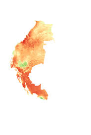 Image result for Strombosiopsis tetrandra