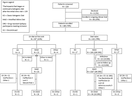 Establishing An Adult Epilepsy Diet Center Experience