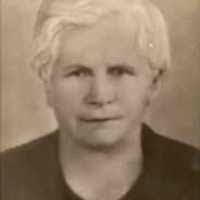 Adam Brasil's Instagram, Twitter & Facebook