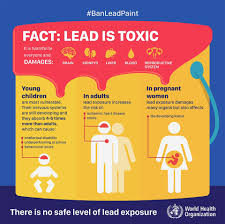 Image result for Lead Poisoning