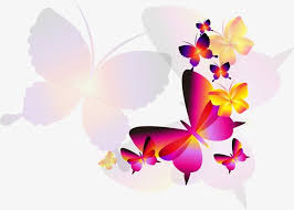 حلم الفراشة الملونة colorful butterfly butterfly color