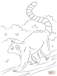Download 183 lemur coloring stock illustrations, vectors & clipart for free or amazingly low rates! Cute Ring Tailed Lemur Coloring Page Free Printable Coloring Pages Animal Coloring Pages Cute Coloring Pages Coloring Pages