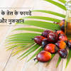 इस names of fruits in english with hindi meaning की सहायता से आपकी अंग्रेजी बोलने में सुधार होगा. 1