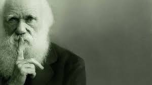 Presentan libro «La Ruta de Darwin en Cabo de Hornos» con los sitios  visitados por el científico