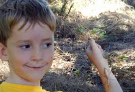 12th Annual Urban Ecology & Conservation Symposium Proceedings