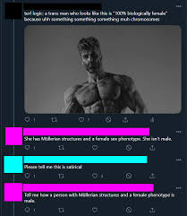 Create your own images with the female bodybuilder meme generator. Terf Insists That Gigachad Is Female Yes The Guy In The Gigachad Meme No It S Not A Satire Account Gendercynical