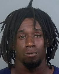 Injured Ferret Found in Wendy's Drive-thru Line in Lathrop