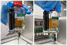 Image result for CSF Culture